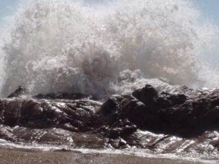 Punta Negra 4