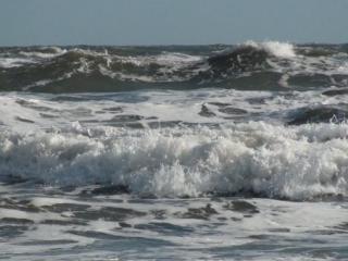 Punta Negra 5