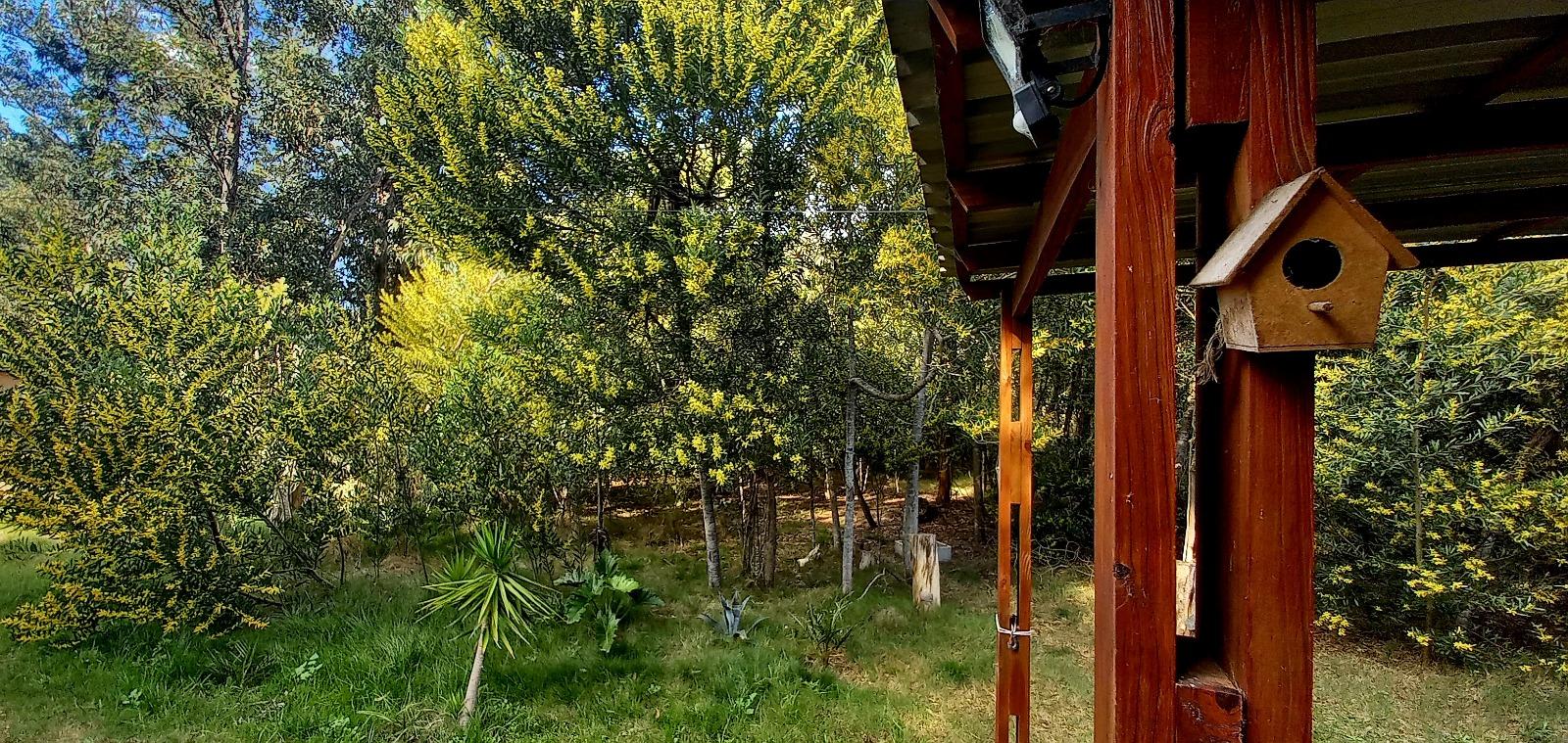 casa aves